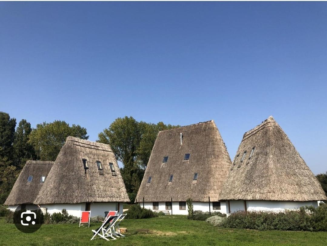 Appartamento La Perla Piove di Sacco Exterior foto